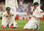 Brad Haddin can't believe Michael Clarke dropped a dolly at slip