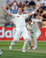 Peter Siddle appeals vociferously