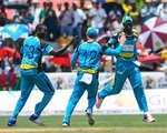 Zouks celebrate after getting a wicket